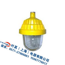 wbpc8720防爆平台灯价格 wbpc8720防爆平台灯型号规格