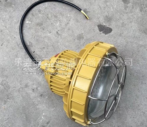 220wled防爆灯 固态免维护防爆led灯 厂家图片