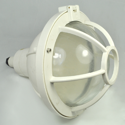 供应BAD51增安型防爆灯/海洋王BAD51防爆灯,华荣BAD51防爆灯_电子电工仪器_自动化仪表_其它_产品库_中国化工仪器网