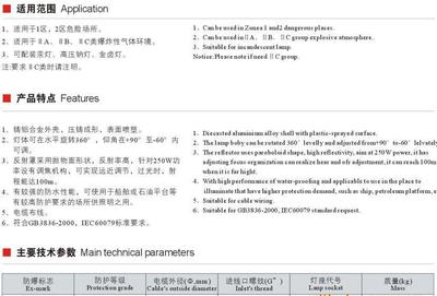 【辽宁直销250W户外防爆投光灯】价格_厂家_图片 -