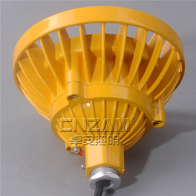ZBD101 30wled防爆投光灯,防爆led泛光灯40w,50W吊杆式防爆灯__防爆电器_防爆电器_防爆灯__中国安防展览网