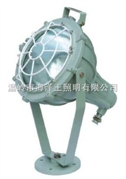 cbt51or cbt51系列防爆无极投光灯 工厂防爆灯 智能制造网