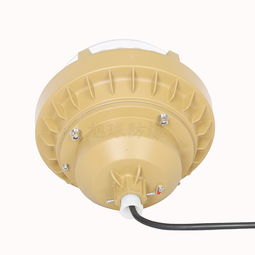 专业LED防爆灯生产商 安全照明的保障