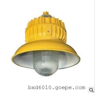 柳市GMD590 100W LED免维护防爆灯 防水防尘防腐的多功能泛光照明解决方案