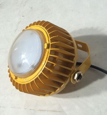 海洋王10W应急防爆灯 高效安全，专为工矿车间与加油站设计